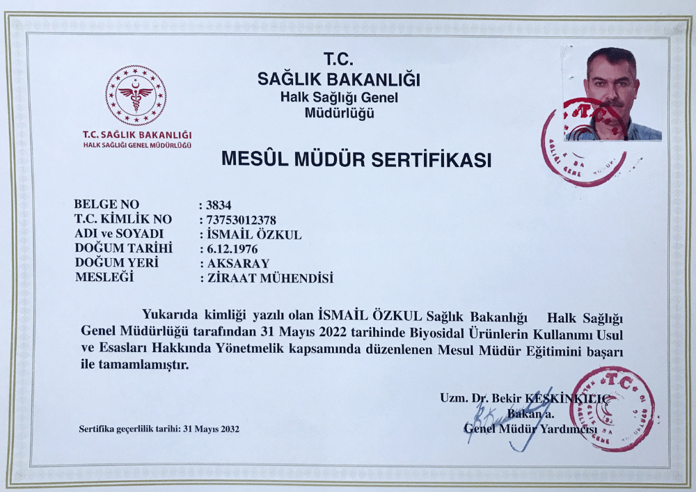 mesul-mudur